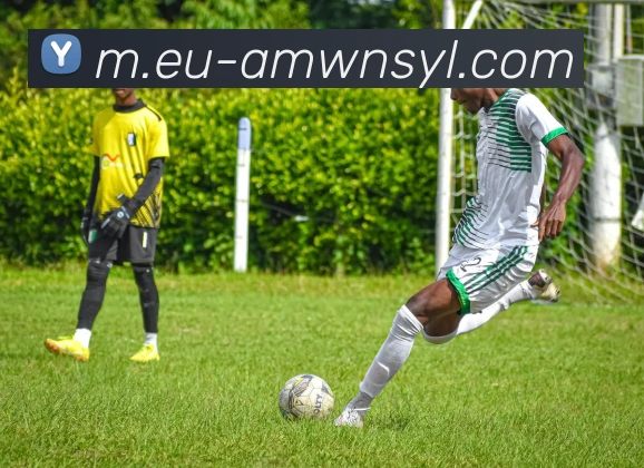 多媒体互动体验